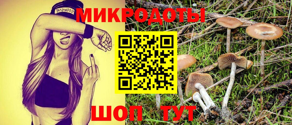 Галлюциногенные грибы Psilocybe Отрадное