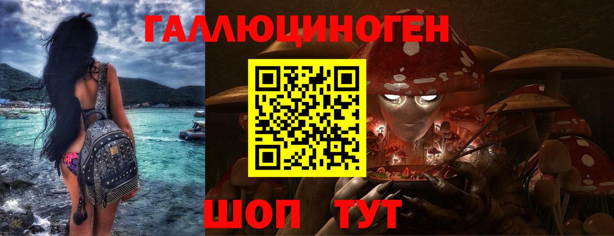 магазин продажи наркотиков  Вход с VPN  Отрадное  Галлюциногенные грибы Psilocybe 